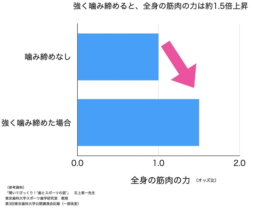 噛み締めと全身の筋力の向上の関係を示すグラフ画像