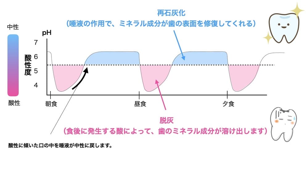 食事と口の中の酸性度の関係