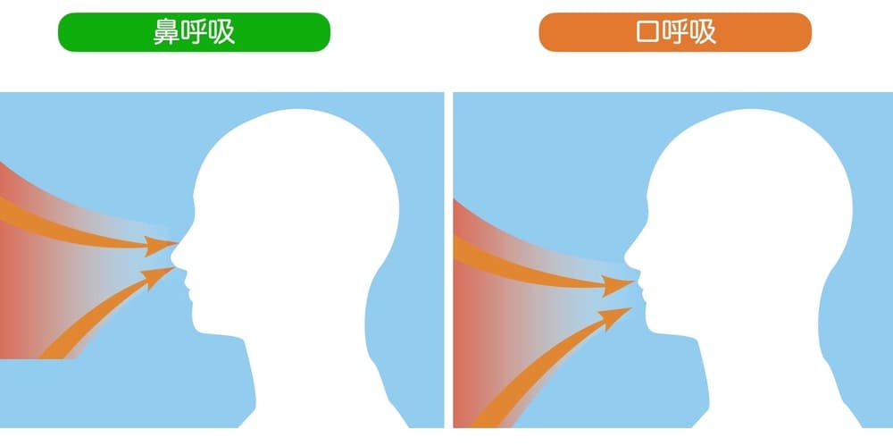 鼻呼吸と口呼吸の違いを示す画像