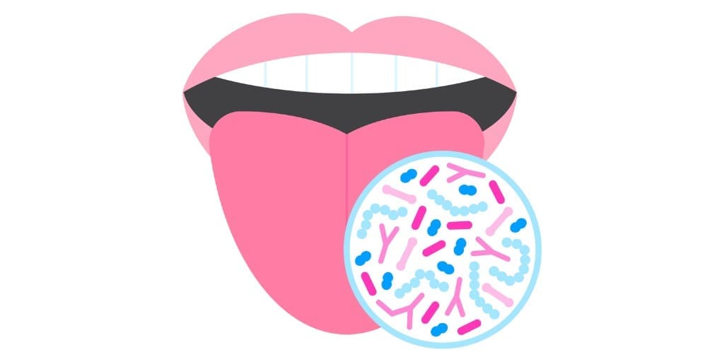 舌苔に含まれる細菌を示す画像