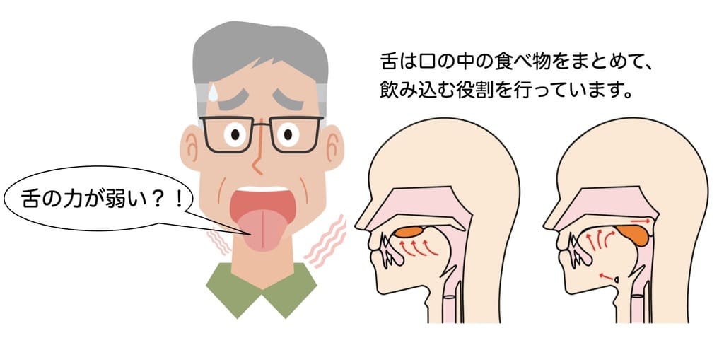 舌の筋力と飲み込みの関係を示す画像