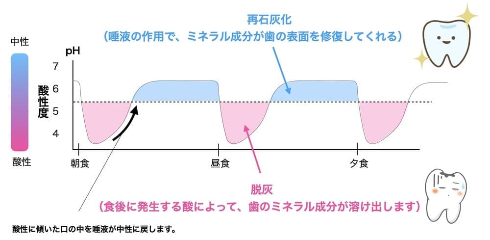 飲食回数が多いと歯が溶けやすいことを示す画像