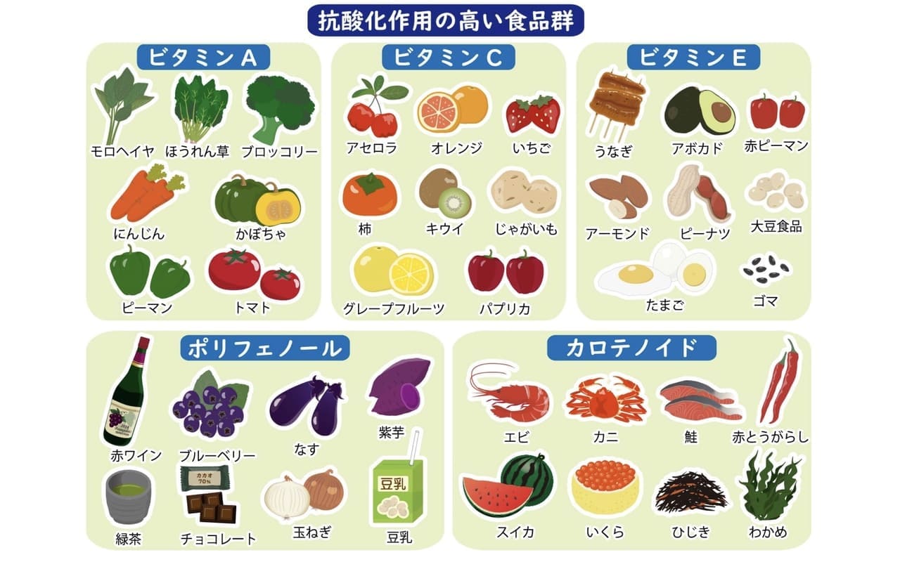 抗酸化作用の高い食品群の画像