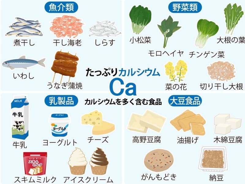 カルシウムを豊富に含む食品の画像