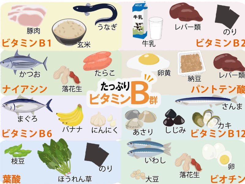 ビタミンB群を豊富に含む食品の画像
