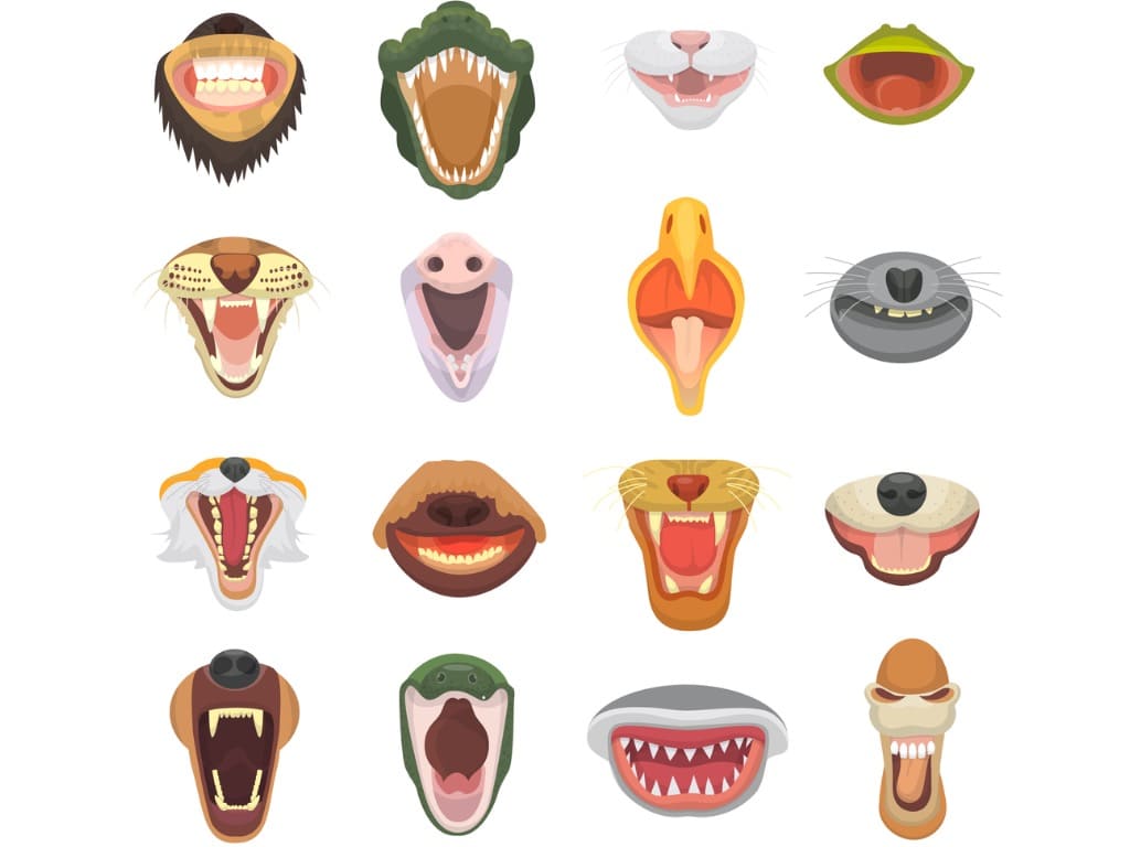 いろいろな動物の歯のイラスト画像