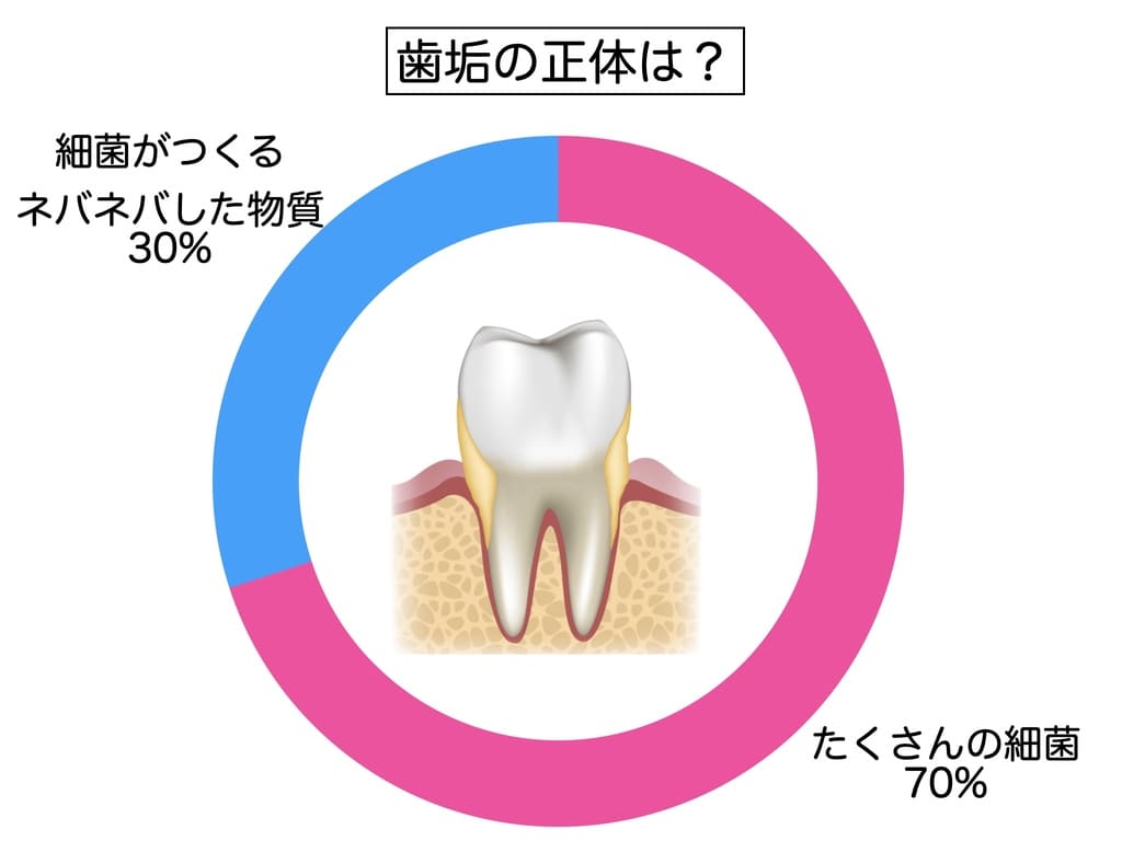 歯垢の正体を示すグラフ画像