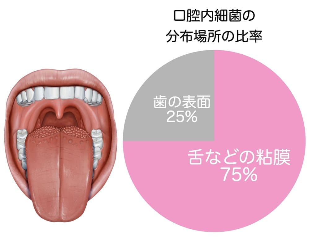 口の中の細菌の生息場所を示すグラフ画像