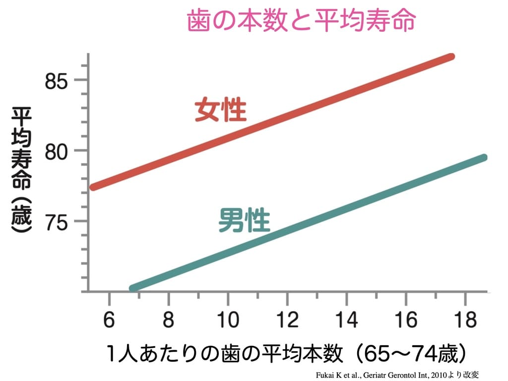 歯の本数と平均寿命の相関を示すグラフ